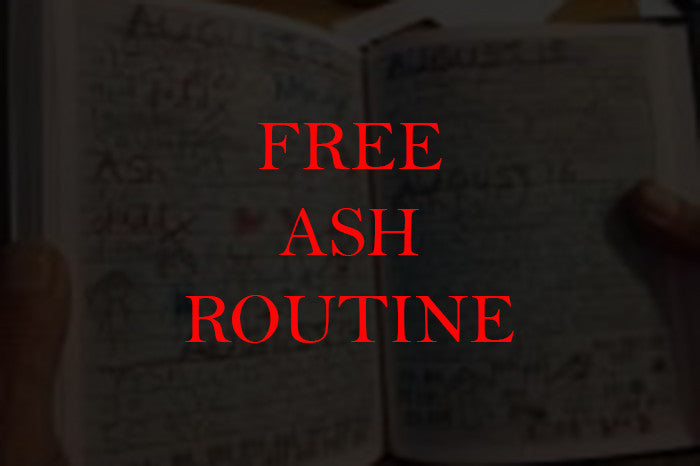 Ash Routine - Gemini Artifacts