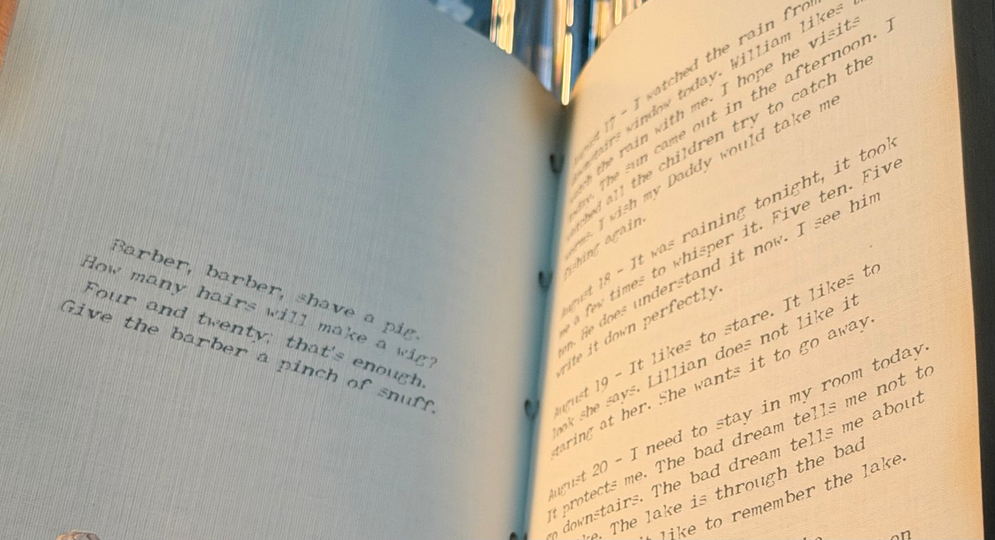 Lillians Diary
