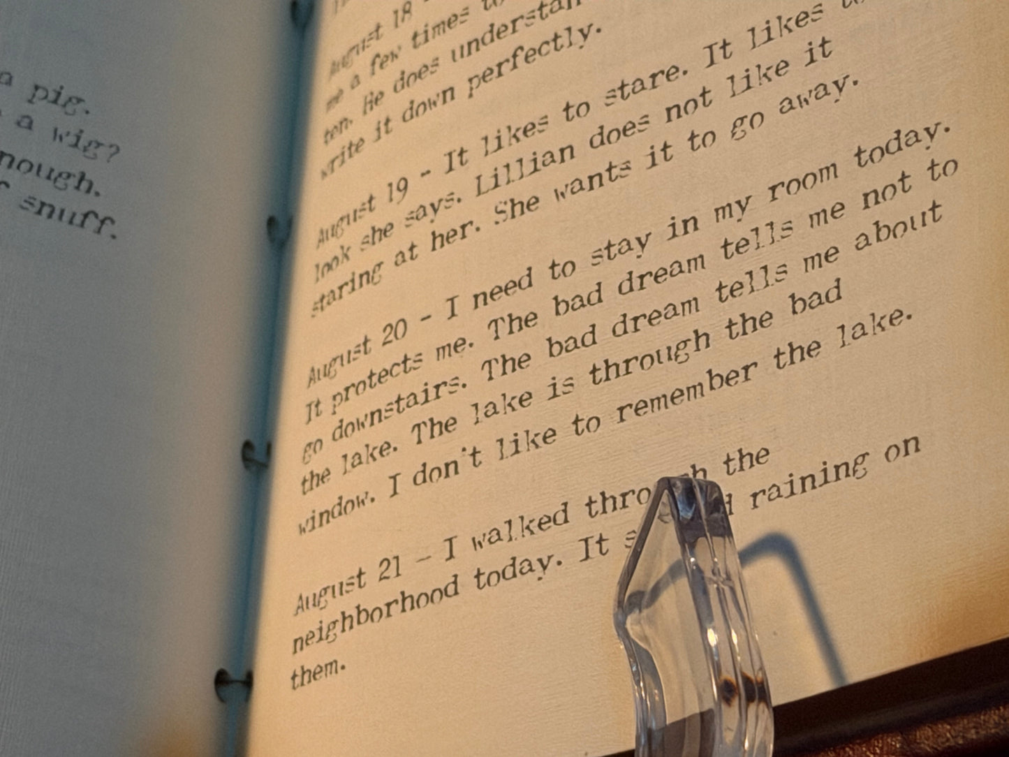 Lillians Diary