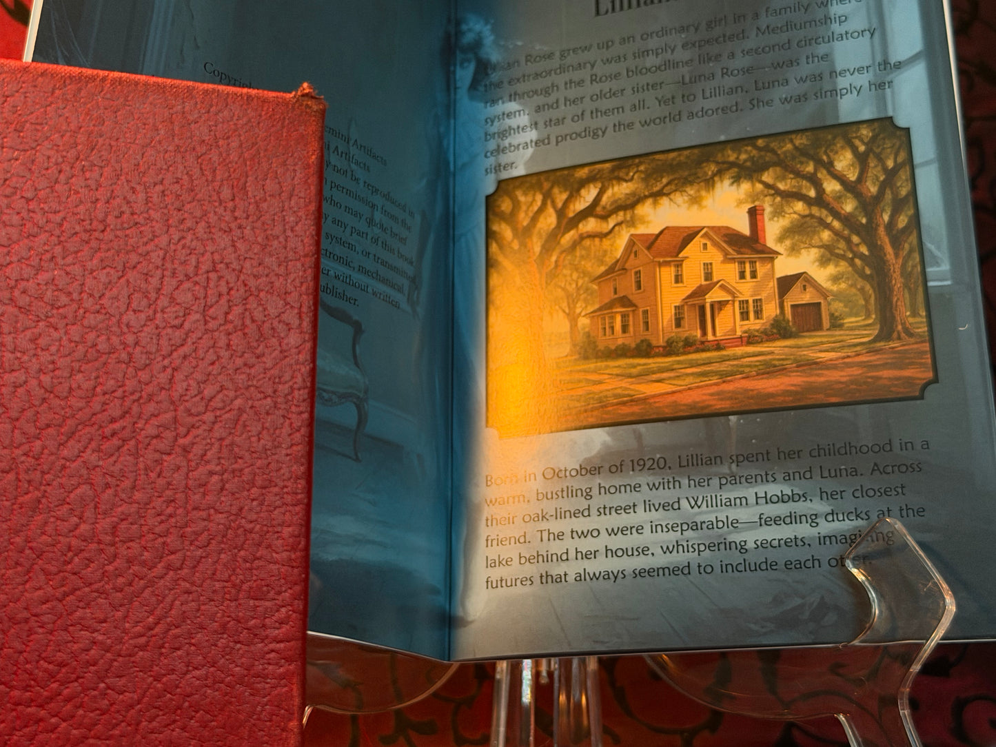 Lillians Diary