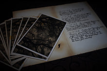 Load image into Gallery viewer, The Nine Questions
