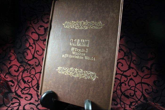 Salem - Gemini Artifacts